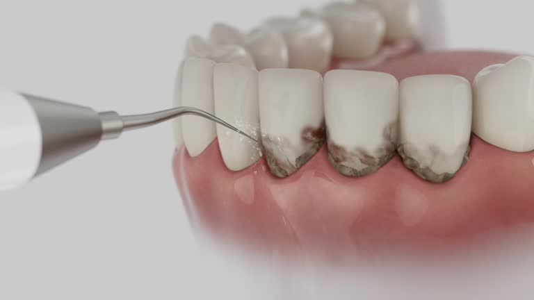 Reliable Dental contractor in Solomons, MD by Dentist Open Now